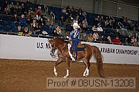 08usn-13208 thumbnail