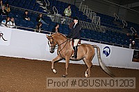 08usn-01203 thumbnail