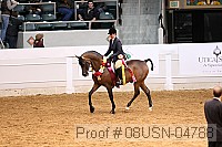 08usn-04788 thumbnail