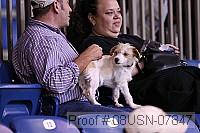 08usn-07847 thumbnail