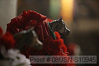 08usn-s10945 thumbnail