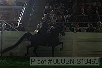 08usn-s18463 thumbnail