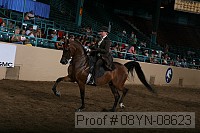 08yn-08623 thumbnail