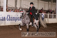 08yn-02969 thumbnail