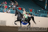 08yn-04644 thumbnail