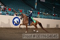 08yn-04645 thumbnail