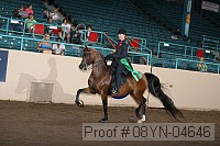08yn-04646 thumbnail