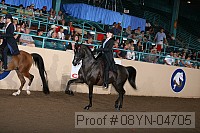 08yn-04705 thumbnail
