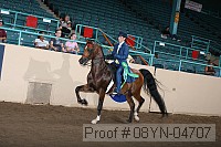 08yn-04707 thumbnail