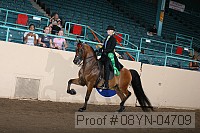 08yn-04709 thumbnail