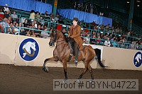 08yn-04722 thumbnail