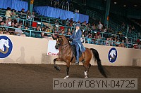 08yn-04725 thumbnail