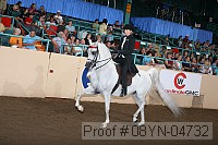 08yn-04732 thumbnail