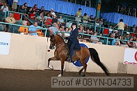 08yn-04733 thumbnail