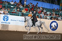 08yn-04739 thumbnail