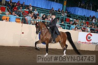 08yn-04743 thumbnail