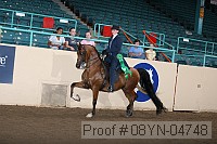 08yn-04748 thumbnail
