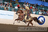 08yn-09443 thumbnail