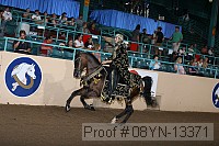08yn-13371 thumbnail
