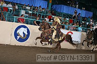 08yn-13391 thumbnail