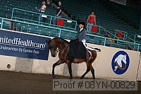 08yn-00829 thumbnail