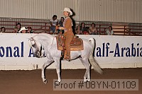 08yn-01109 thumbnail