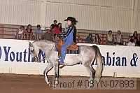 08yn-07893 thumbnail