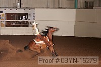08yn-15279 thumbnail