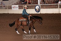 08yn-15309 thumbnail