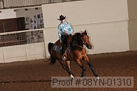 08yn-01310 thumbnail