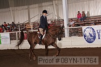 08yn-11764 thumbnail