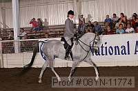 08yn-11774 thumbnail