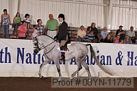 08yn-11779 thumbnail