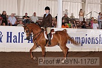 08yn-11787 thumbnail