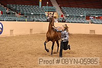 08yn-05985 thumbnail