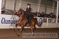 08yn-03085 thumbnail