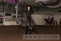 08yn-03086 thumbnail