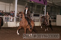 08yn-03088 thumbnail