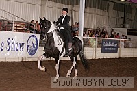 08yn-03091 thumbnail