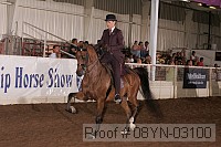 08yn-03100 thumbnail