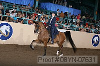 08yn-07631 thumbnail