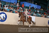 08yn-07633 thumbnail