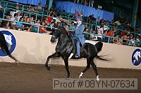 08yn-07634 thumbnail