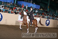 08yn-07636 thumbnail