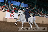 08yn-07646 thumbnail