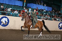 08yn-07648 thumbnail