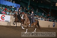 08yn-07652 thumbnail
