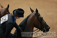08yn-09352 thumbnail