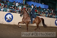 08yn-09458 thumbnail