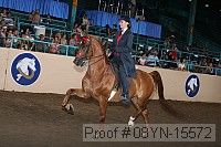 08yn-15572 thumbnail